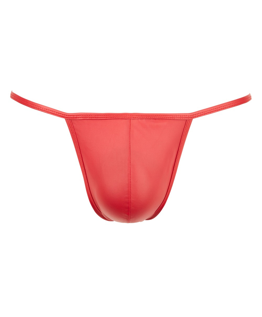 Svenjoyment red matte look bikini briefs