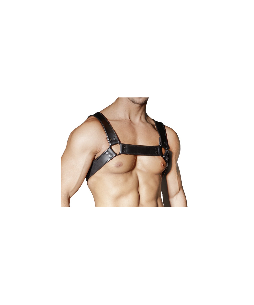 Zado leather chest harness