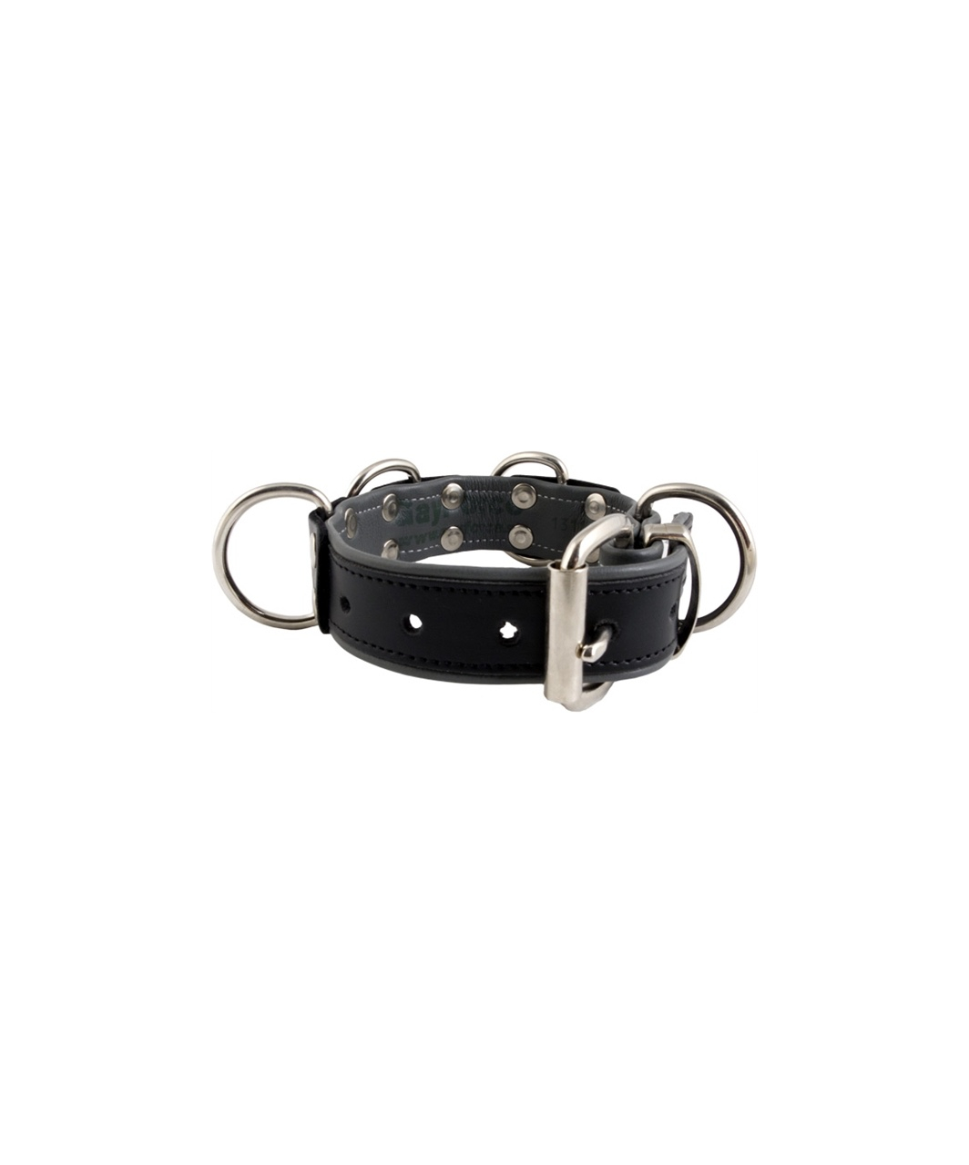 Mister B slave collar with 4 D-rings