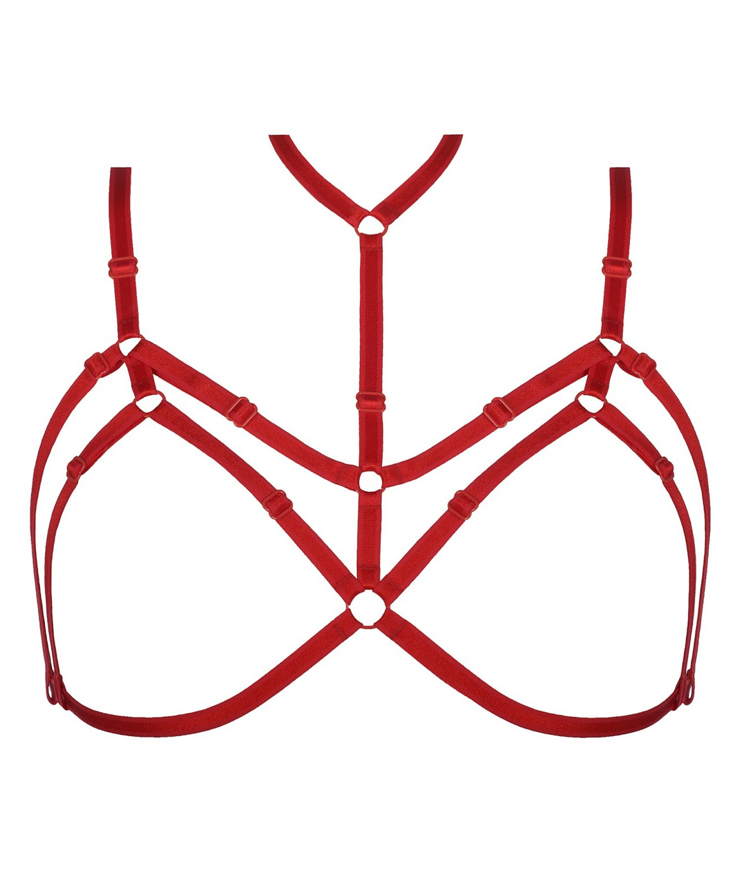 Axami red harness