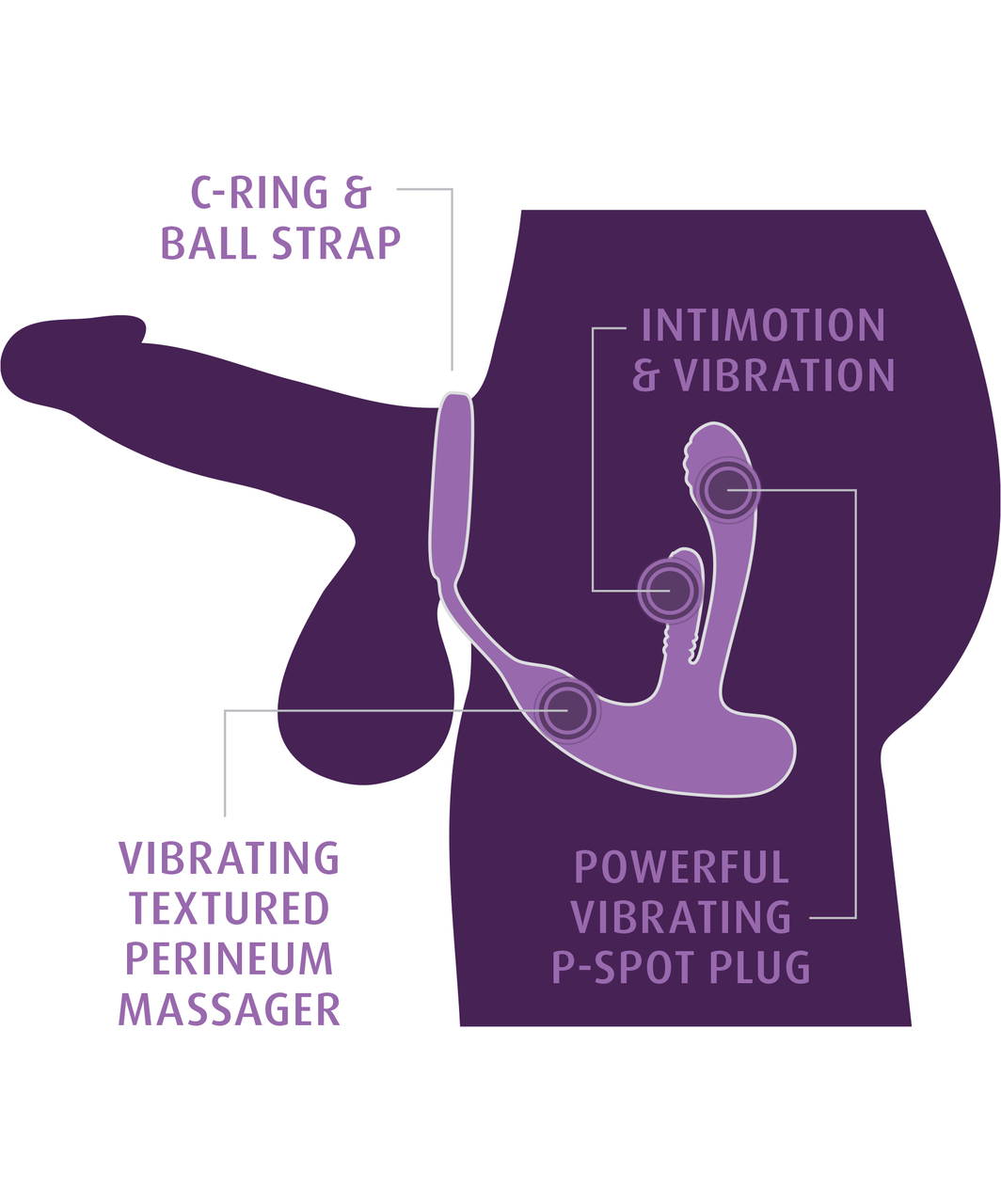 Anal Fantasy Ass-Gasm IntiMotion Multi-Function Vibrator