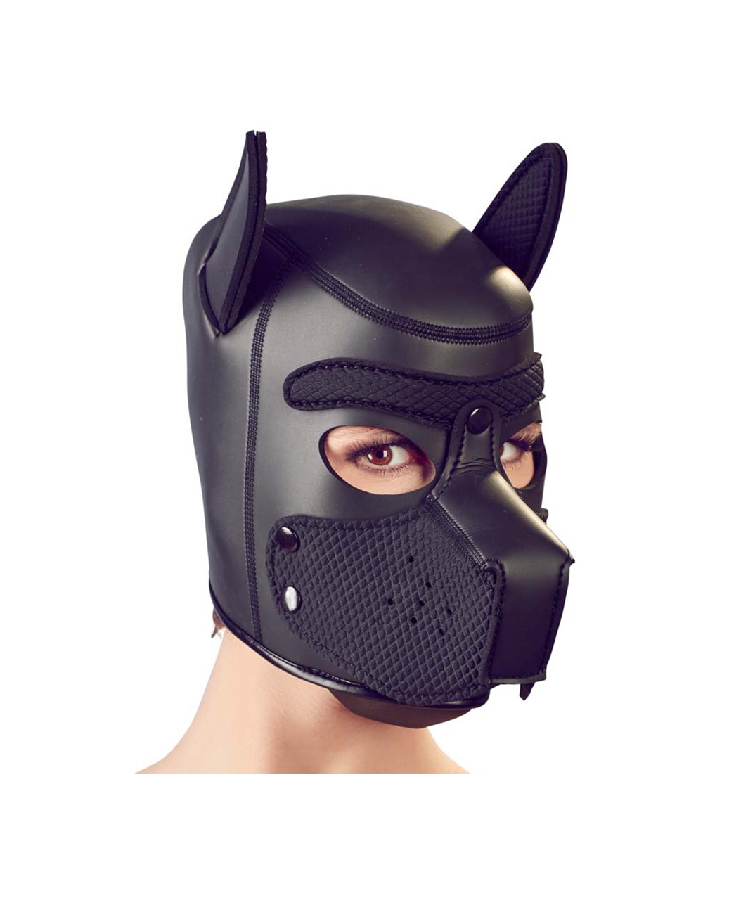 Bad Kitty black dog mask