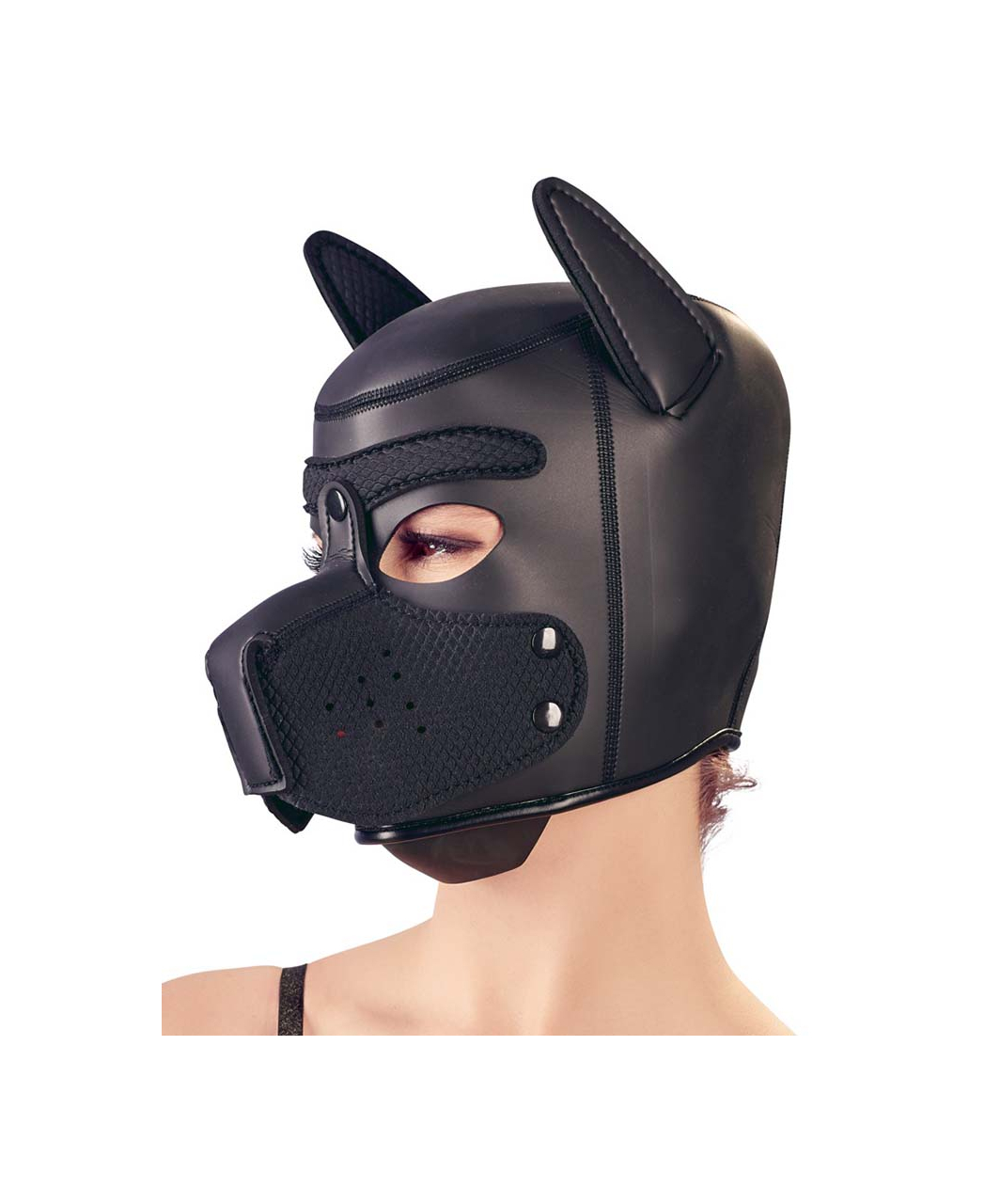 Bad Kitty black dog mask