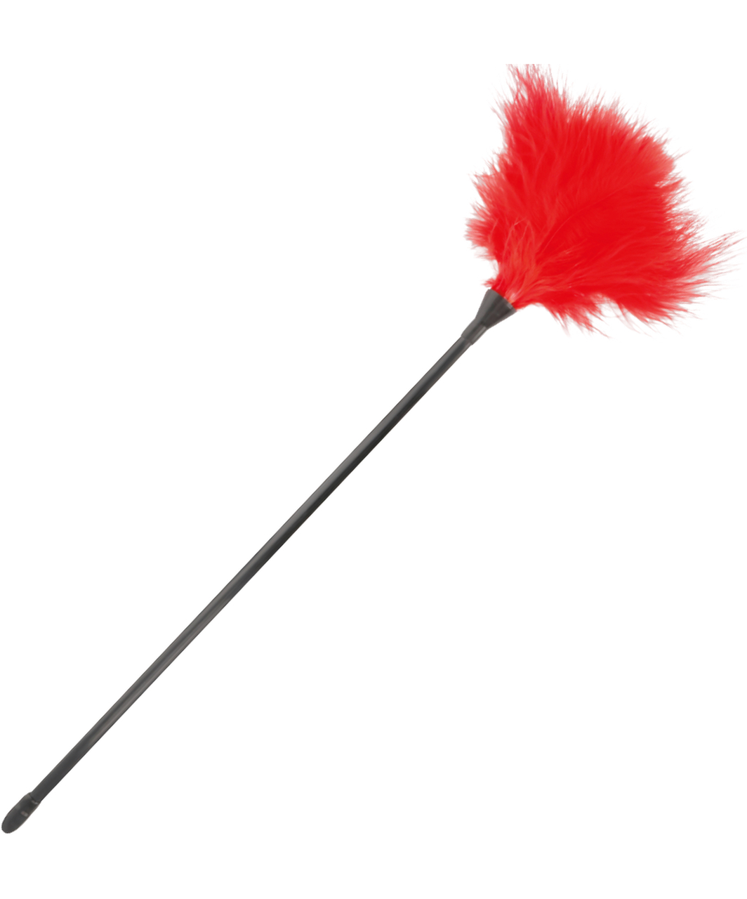 Darkness miotełka z piór do pieszczot z długą rączką