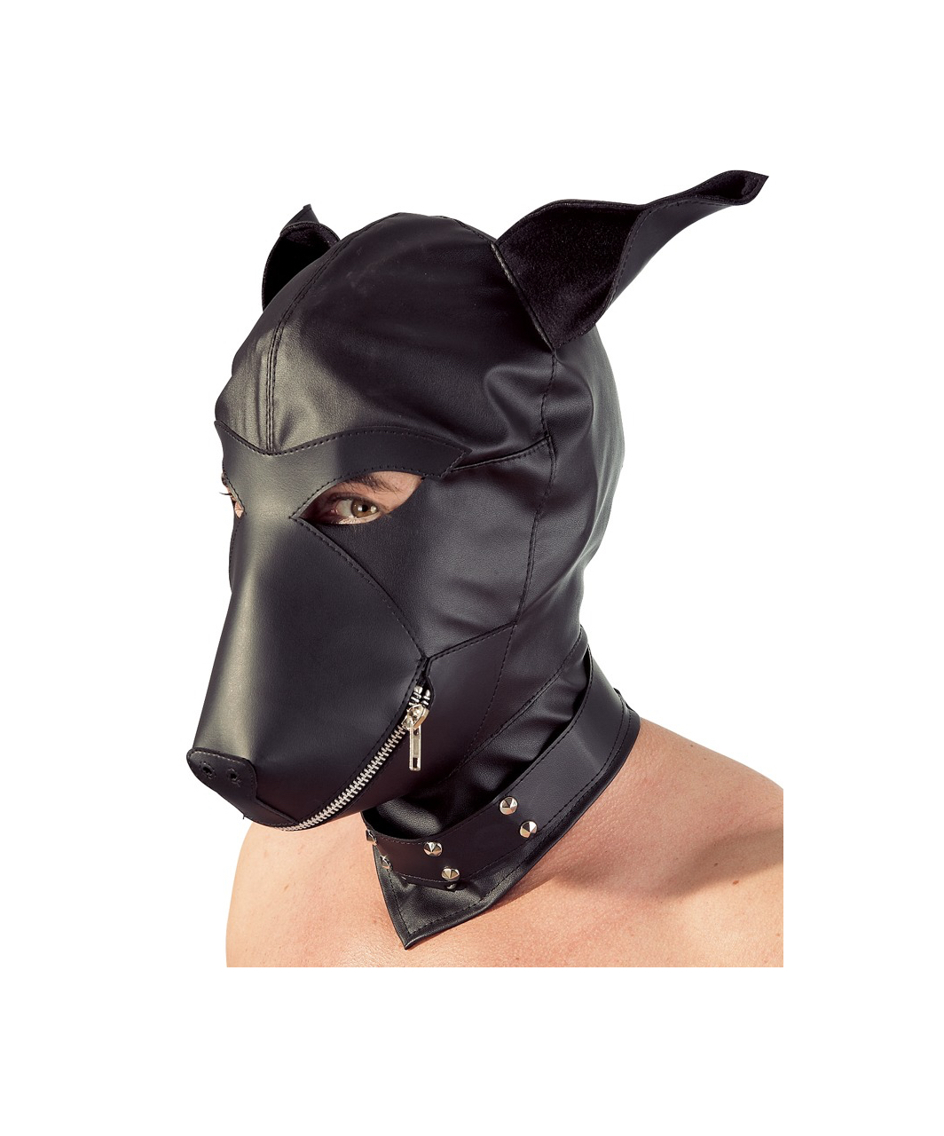 Fetish Collection dog mask