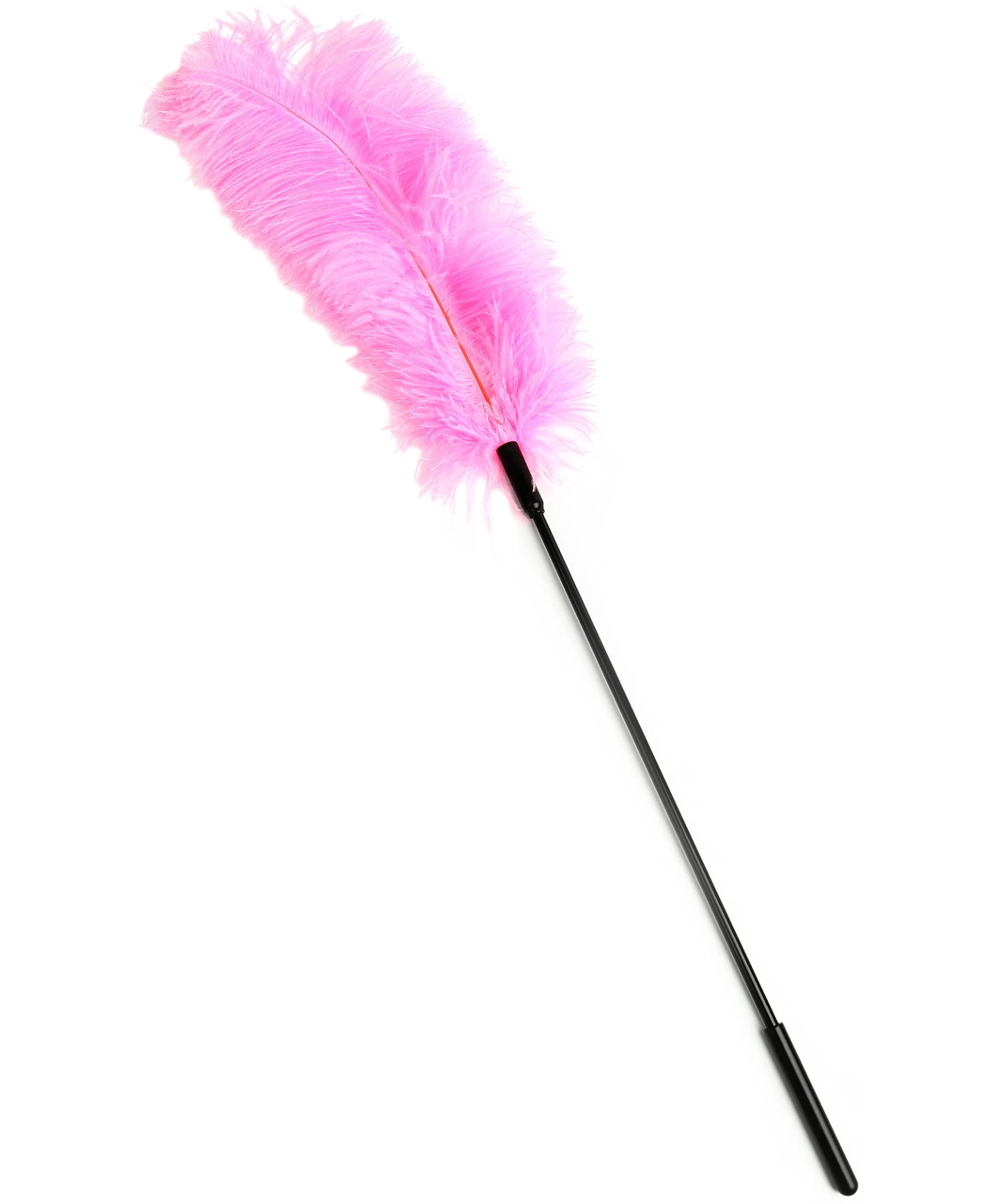 Hidden Desire feather