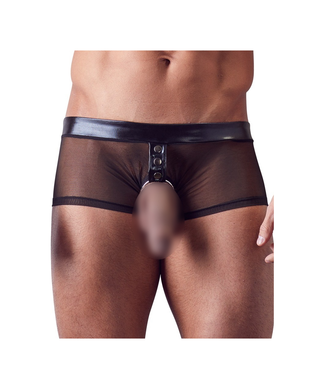 Svenjoyment black sheer mesh boxer briefs with cock ring