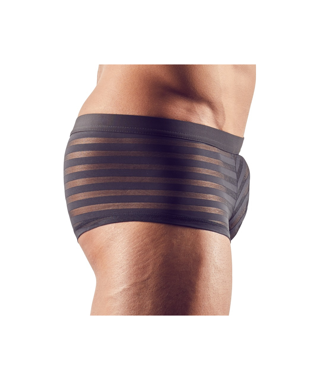 Svenjoyment black sheer striped boxer briefs