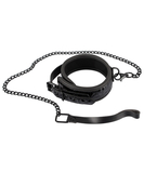 Bad Kitty vinyl collar with chain leash