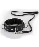 Bad Kitty studded collar with leash