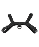 Bad Kitty black chest harness