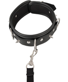 Bad Kitty studded collar with leash