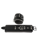 Mister B Wrist restraints with padding