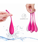 FeelzToys FemmeFit Pelvic Floor Muscle Training Set