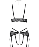 Abierta Fina black lace open 2-piece suspender set