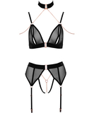 Abierta Fina black sheer mesh suspender lingerie set