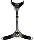 Bad Kitty leatherette bondage collar & harness