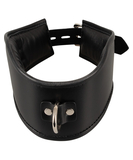 Bad Kitty padded leatherette collar