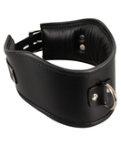 Bad Kitty padded leatherette collar