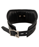 Bad Kitty padded leatherette collar