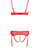 Cottelli Lingerie red sheer mesh & lace lingerie set