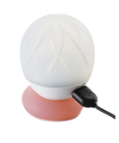 Iroha Ukidama Bath Light & Massager