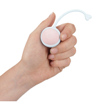 Loveline Interchangeable-Weight Remote-controlled Vibrating Kegel Kit