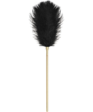 Obsessive feather & chain tickler