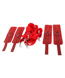 Bad Kitty red bed restraints