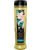 Shunga massaažiõli (240 ml)