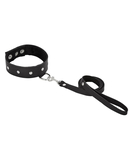 Sportsheets leather collar & leash