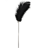 Taboom feather tickler