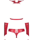 Obsessive Vampines shiny red erotic set