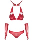 Obsessive Vampines shiny red erotic set