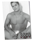 OV Wall Calendar Real Cocks