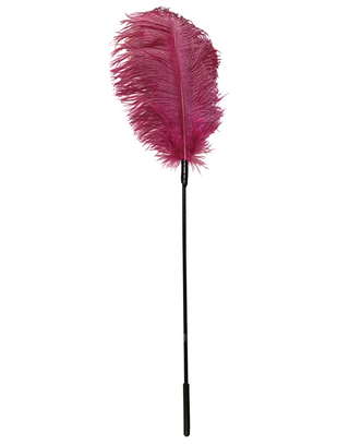 Fetish Collection feather