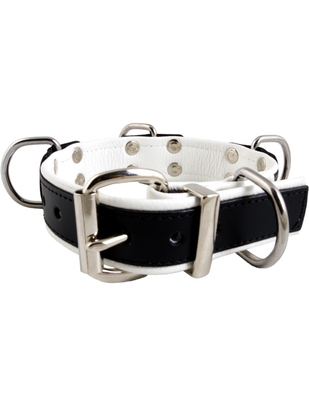 Mister B slave collar with 4 D-rings