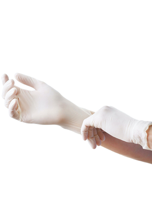 Polyco Healthline White Disposable Latex Gloves (100 pcs)