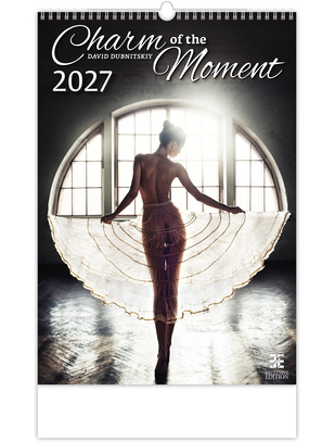 Helma seinäkalenteri Charm of the Moment 2027