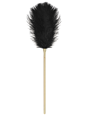 Obsessive feather & chain tickler