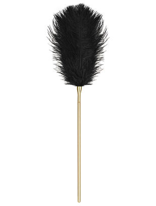 Obsessive feather & pearl tickler
