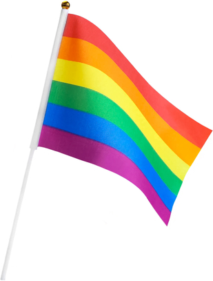 Rainbow Pride rankinė LGBT vėliava