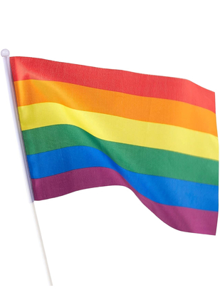 Rainbow Pride флаг ЛГБТ с древком