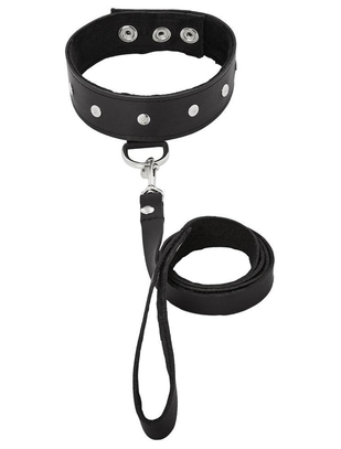 Sportsheets leather collar & leash